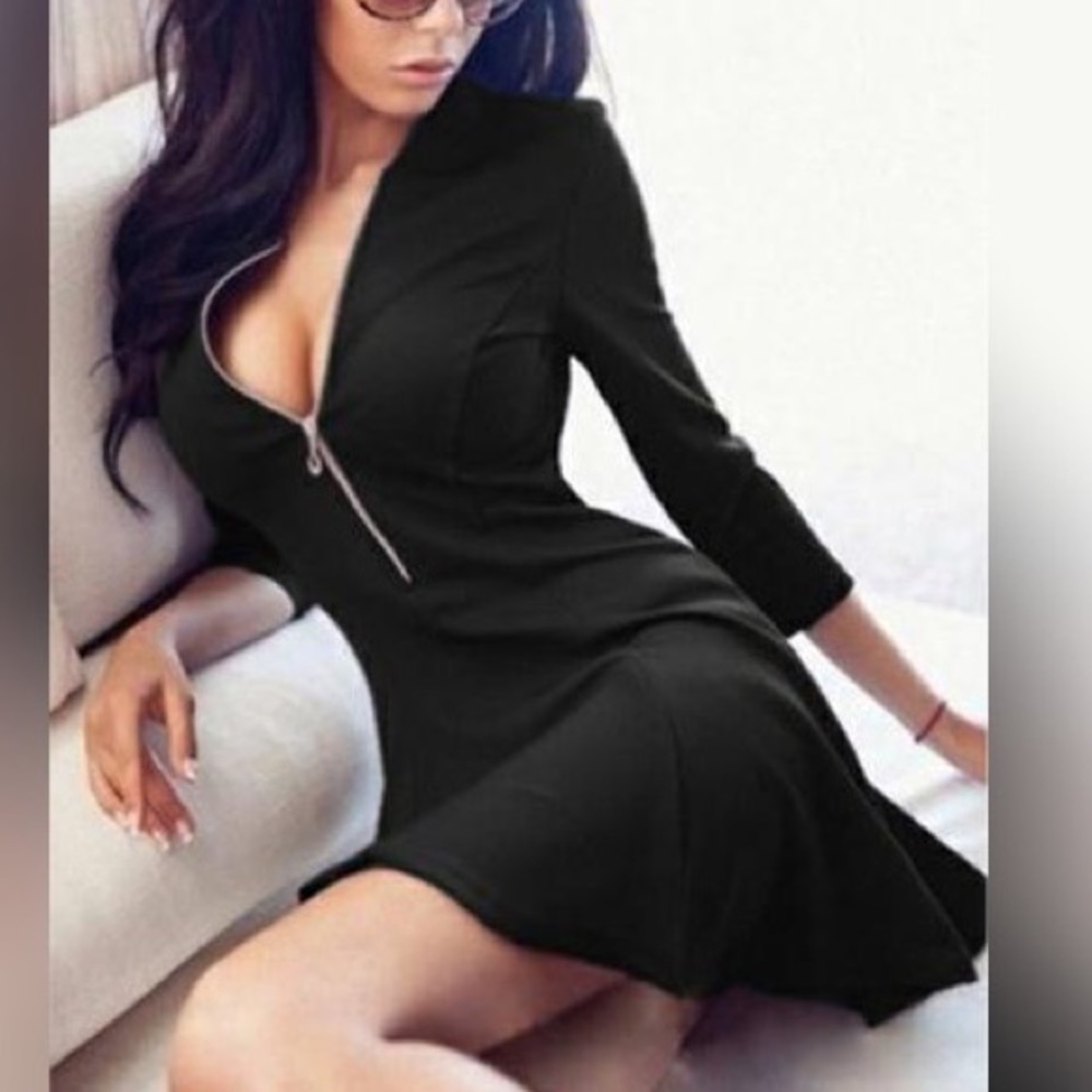 Sheryl Front Zip Skater Dress